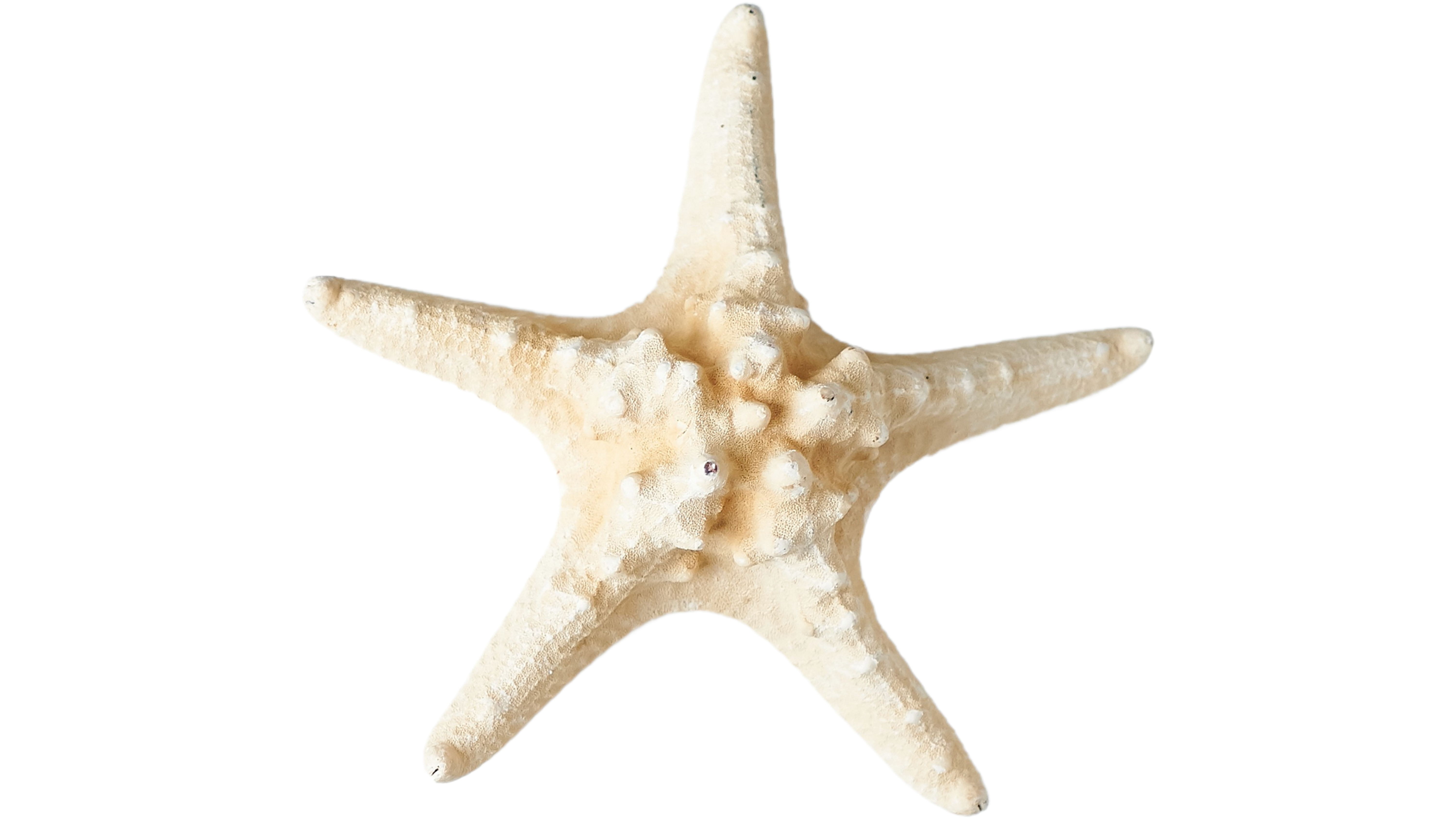 Estrella